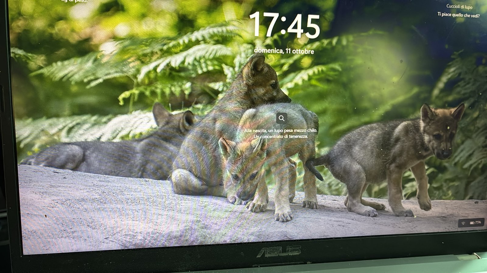 ASUS F515EA-EJ433W acceso durante il test finale dopo cambio batteria e manutenzione termica